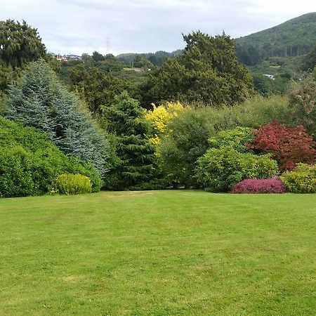 Leithview B And B Bed and Breakfast Dunedin Exterior foto