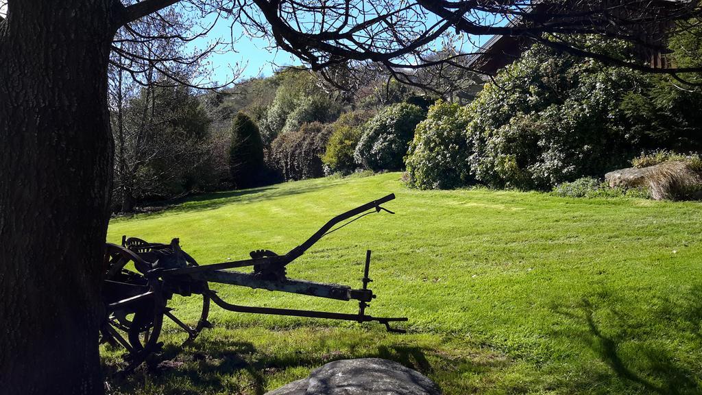 Leithview B And B Bed and Breakfast Dunedin Exterior foto