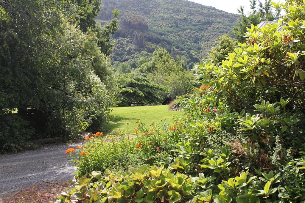 Leithview B And B Bed and Breakfast Dunedin Exterior foto