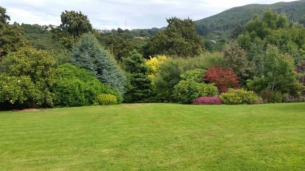 Leithview B And B Bed and Breakfast Dunedin Exterior foto