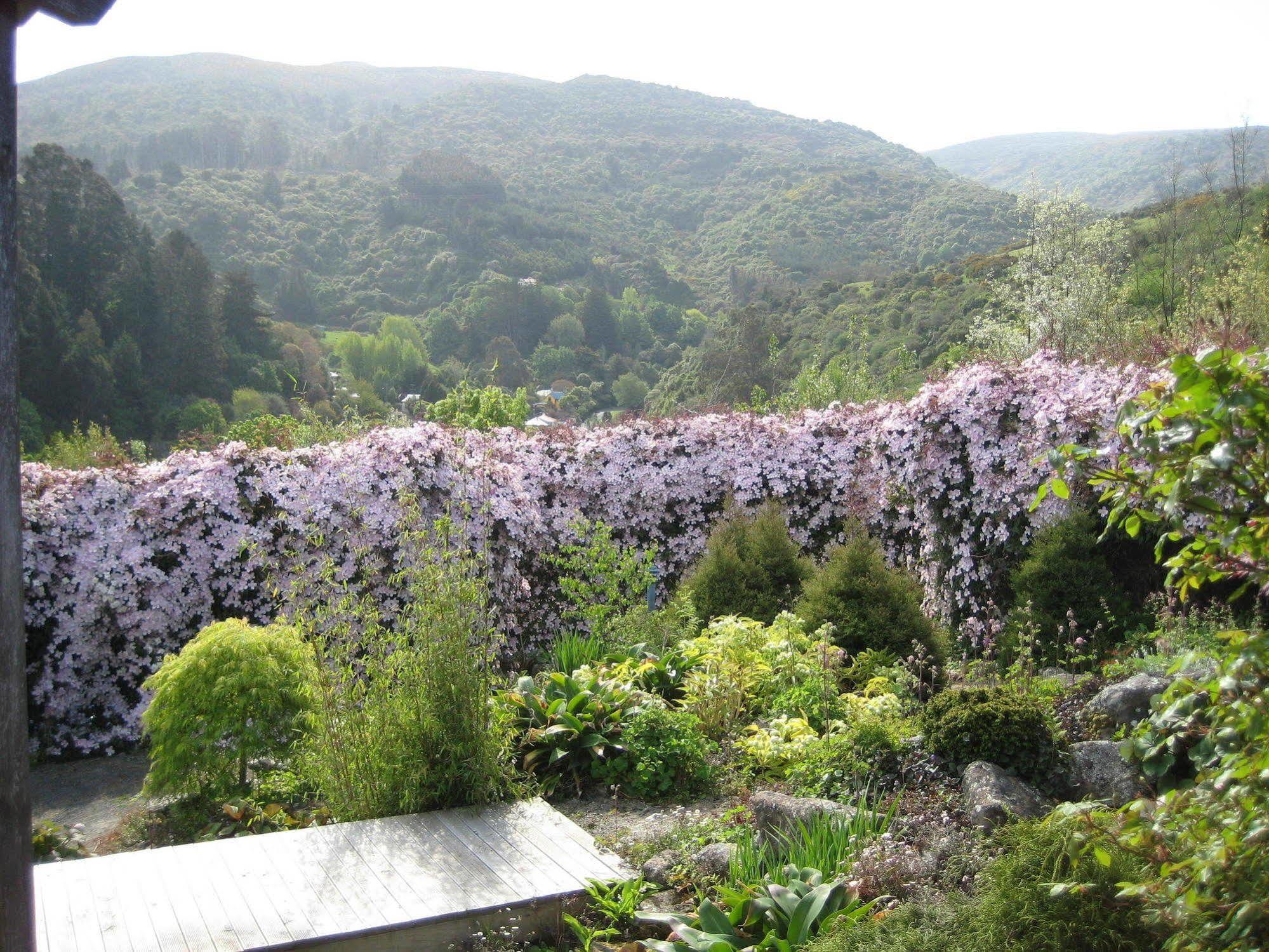 Leithview B And B Bed and Breakfast Dunedin Exterior foto