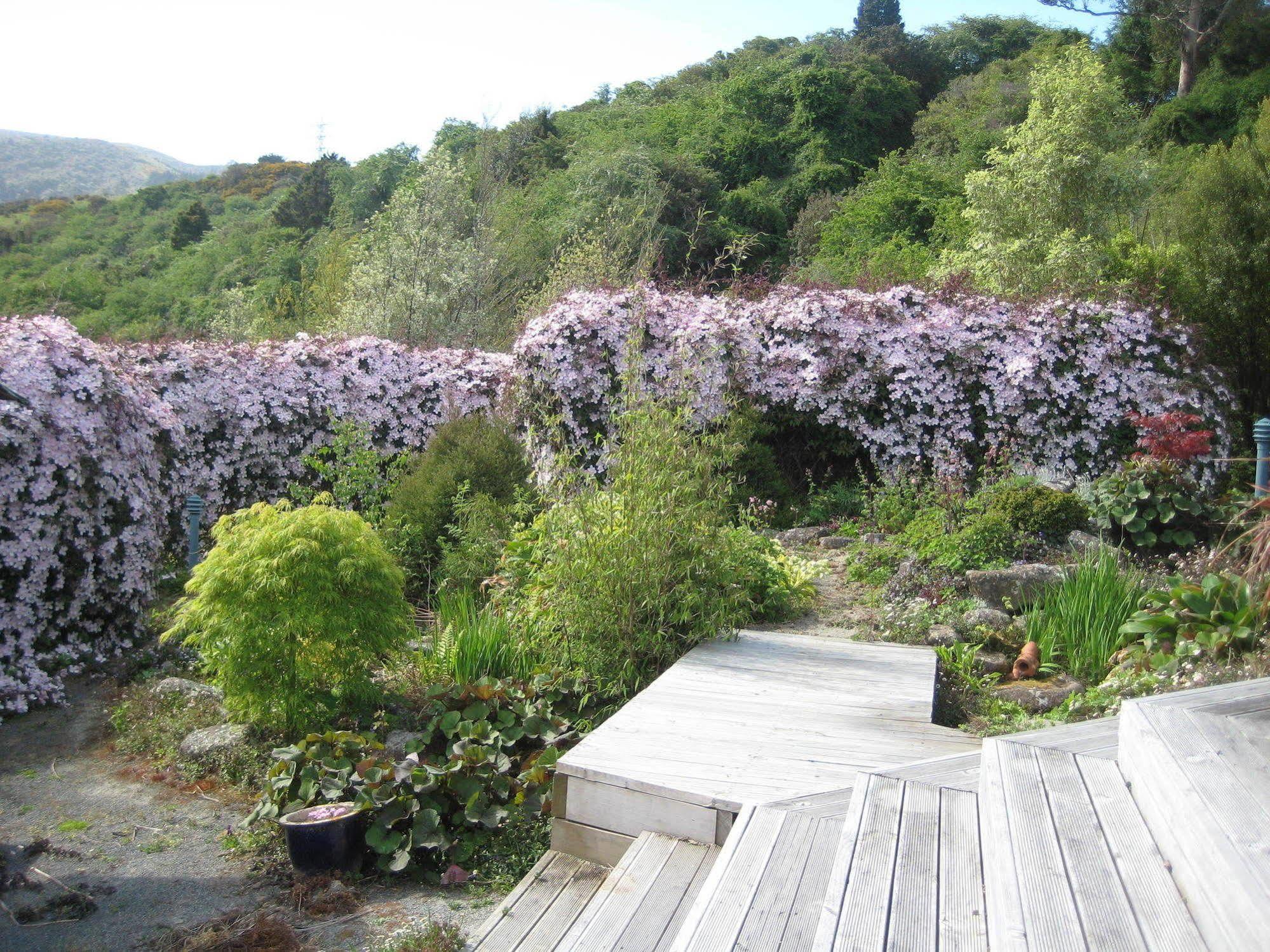 Leithview B And B Bed and Breakfast Dunedin Exterior foto